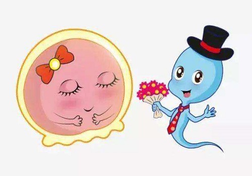 試管嬰兒要多少錢呀