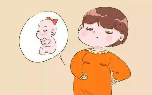 試管嬰兒移植前注意事項，可不能馬虎