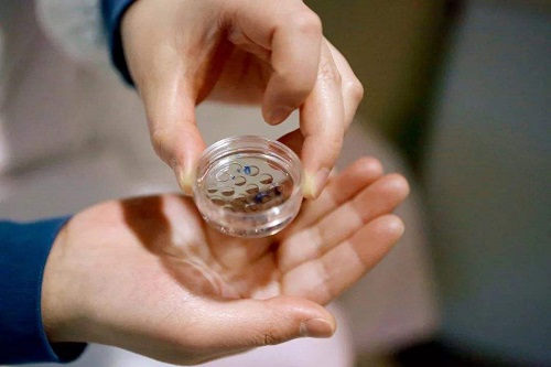 試管嬰兒移植后一周胚胎著床了嗎？具體有哪些反應？