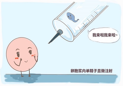 試管嬰兒的過(guò)程是什么
