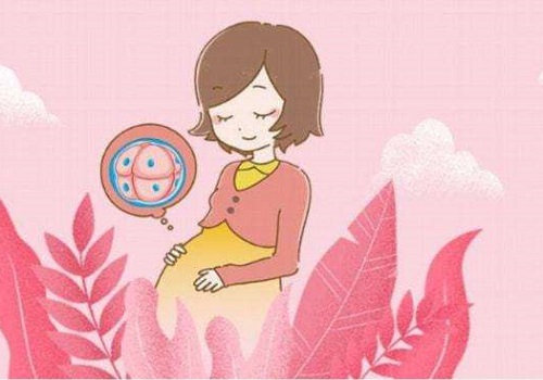 試管嬰兒要付多少錢